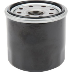 Alyvos filtras SO6086