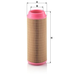 Oro filtro elementas C14200