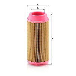 Oro filtro elementas C11100