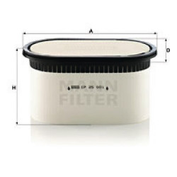 Oro filtro elementas CP26295
