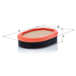 Antrinio oro filtro elementas CF2135