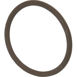 Case - IH Puma 230CVT 14458281 Ring Fkw