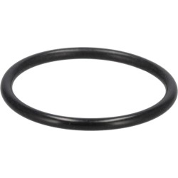 Case - IH 844 3147943R1 O žiedas