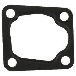 Case - IH Quantum 75F 504164205 Termostato tarpiklis