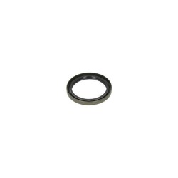 Case - IH Quantum 100CL 10/17- 5105903N Sandarinimo žiedas B1KLUD3SL 55x70x8 75NBR