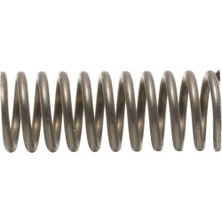 Case - IH Quantum 100CL 10/17- 5116884 spyruoklė