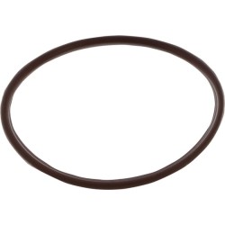 Case - IH Quantum 100F 9/17- 17284281 O formos žiedas