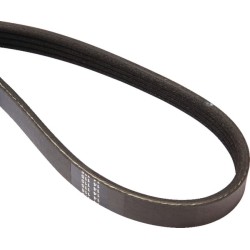 Case - IH Quantum 90N 9/17-84305213 diržas
