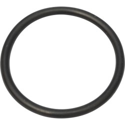 Case - IH Quantum 90V 9/17- 218774 Žiedas