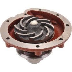 Case - IH 1046 3132676R93KR vandens siurblys, tinka Case
