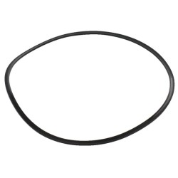 Case - IH 5120 189051A1 Sandarinimo žiedas