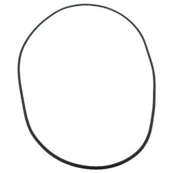 Case - IH 5140 14469580 O žiedas 300x3,5
