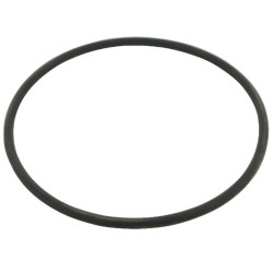 Case - IH 3210 3228348R1 O žiedas geltonas įdėklui