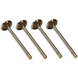 John Deere 1830 VPA1360 Išmetimo vožtuvas