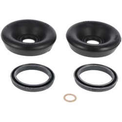 Case - IH 1455 / 1455XL 9898056 Rato cilindro remonto komplektas