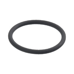 Case - IH 3220 1328393C1 O žiedo montavimo vožtuvas 26 x 2,5