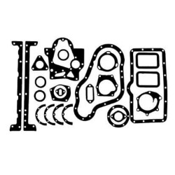 Case - IH 1294 VPC6023 Dugno tarpiklių komplektas