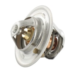 Case - IH 1494 RE501052 Termostatas