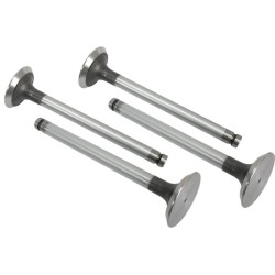 Case - IH 475 VPA1110 Išmetimo vožtuvas