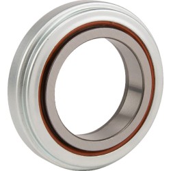 Case - IH 484 500104650 atlaisvinimo guolis