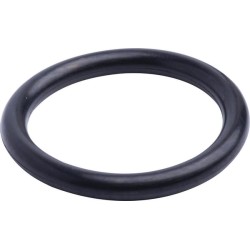 Dalis Case-IH technikai 86629540 O žiedas