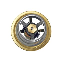 Case - IH 986 AV100934 Termostatas