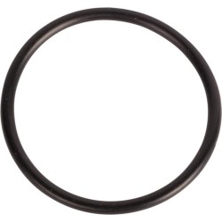 Case - IH AVJ55 9958554N sandarinimo žiedas