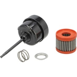 Case - IH 533 3145873R92GV filtras