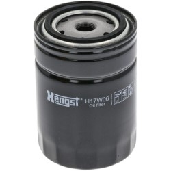Case - IH CS63 H17W06 Alyvos filtras