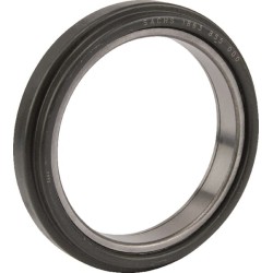 Case - IH CS78 1863855000 Atlaisvinimo guolis