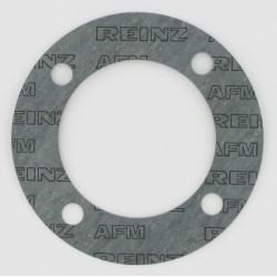 Case - IH 533 1964079C2 GTV dangčio tarpiklis