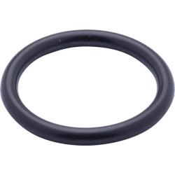 Case - IH CS94 9827059N O žiedas