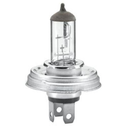 Lemputė 24V P45t Raico 002088271