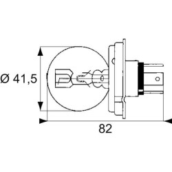 Lemputė 24V P45t Raico 002088271