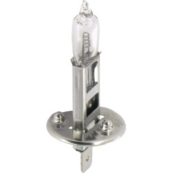 Lemputė Halogen H1 24V 70W P14.5s Kramp B2424