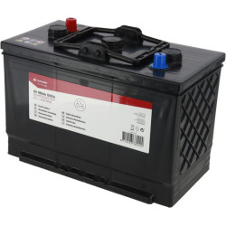 Baterija 6V 195Ah 1000A 0195004KR