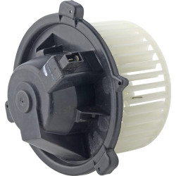 Orapūtės variklis KL080159