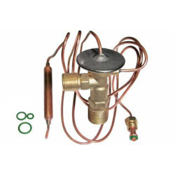 Išsiplėtimo vožtuvas VPM8440