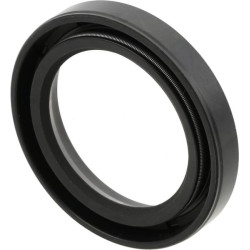 Sandariklis AH21815N