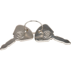 Užvedimo raktelis 6000130162