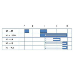 Uždegimo jungiklis P-0-1-2-3, Pneutron 20501003PN