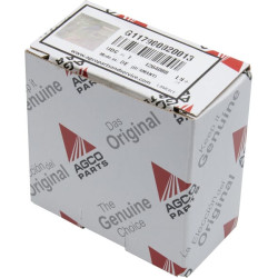 Blinkerio relė G117900020013