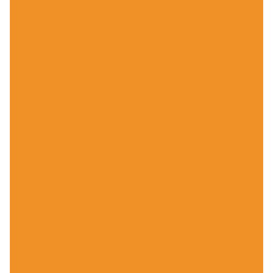 Simbolis: oranžinė 9XT740763291