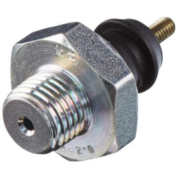 Alyvos slėgio jungiklis, 12V, 1/4 colio, 1 kontaktas, normaliai uždaras kontaktas 6ZL003259421