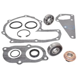 Case - IH CVX130 162000060751 Vandens siurblio remonto rinkinys CNH