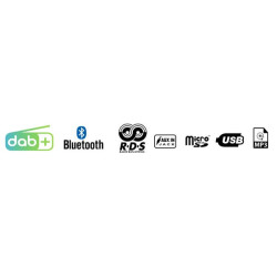 Radijas DAB/BT/RDS/USB/SD/MP3/AUX IN VDX006