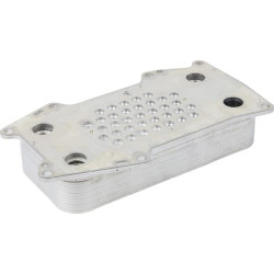 Alyvos aušintuvas 04916909