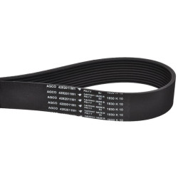 V formos diržas 4282011M1