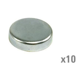 Šerdies kištukas (x10) VPC4602