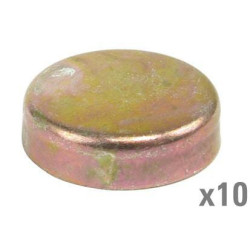 Šerdies kištukas (x10) VPC4600